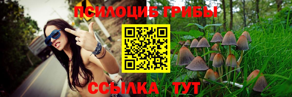 Галлюциногенные грибы GOLDEN TEACHER Новоуральск